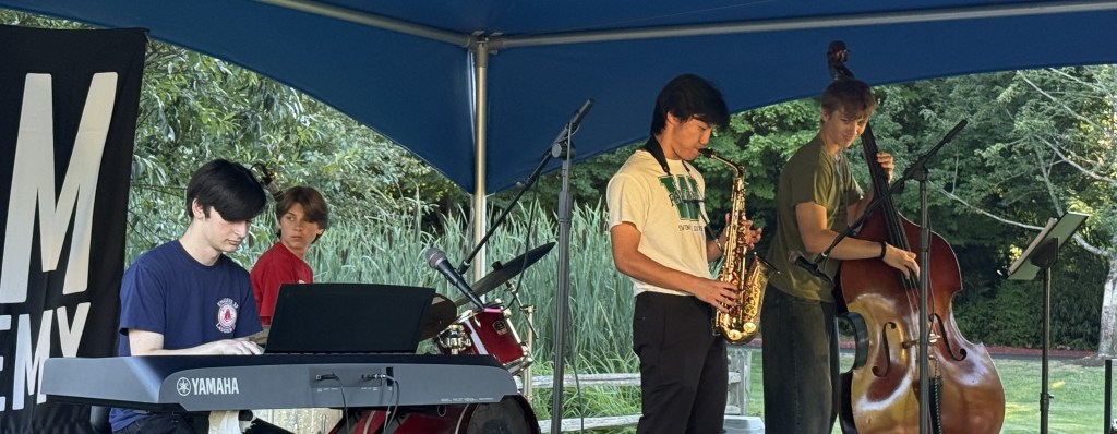 8/20/26 TEEN SPOTLIGHT Quartet at Music in the Park at Cottage Lake